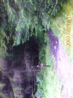 be448101-e004-11c7-8000-29920b19dacd