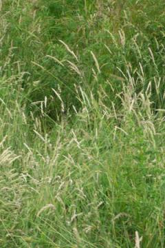 937aac01-956a-11c6-8000-4b369cb952d7