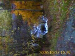 5c5fe801-3853-11c9-8000-cf29167edb8e